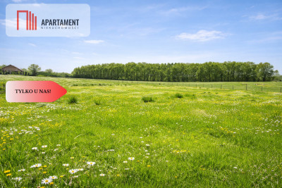 Na sprzedaż działka rolna 5 ha - Duba  -
Warmińsko-Mazurskie Zdjęcie nr 3