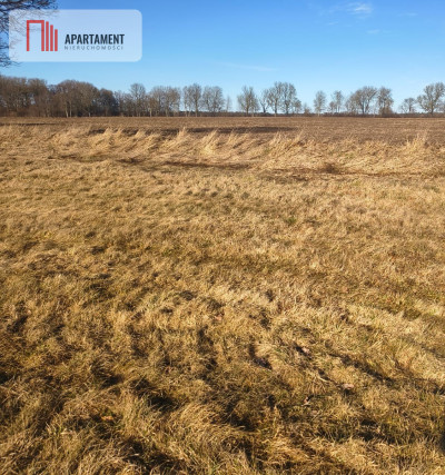 Działka rolna na malowniczym terenie - Kładno  -
Zachodniopomorskie Zdjęcie nr 2