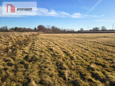 Działka rolna na malowniczym terenie - Kładno  -
Zachodniopomorskie Zdjęcie nr 3