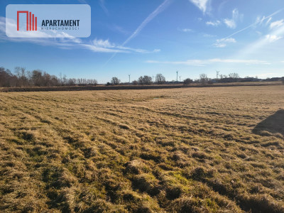 Działka rolna na malowniczym terenie - Kładno  -
Zachodniopomorskie Zdjęcie nr 4