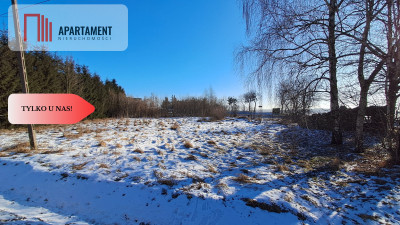 Tylko u nas Działka w Ślesinie 1500 mkw - Ślesin  - Kujawsko-Pomorskie