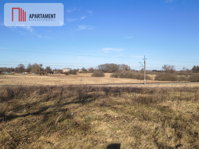 17 ha Działka rolna w nadmorskim Tymieniu - Tymień  -
Zachodniopomorskie Zdjęcie nr 3