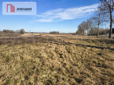 17 ha Działka rolna w nadmorskim Tymieniu - Tymień  -
Zachodniopomorskie Zdjęcie nr 6