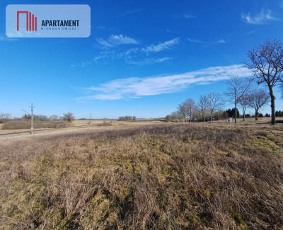 17 ha Działka rolna w nadmorskim Tymieniu - Tymień  -
Zachodniopomorskie Zdjęcie nr 8