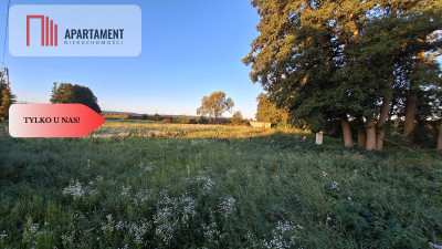 Działka w dobrym miejscu - Chodzież  -
Wielkopolskie Zdjęcie nr 2