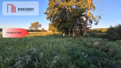 Działka w dobrym miejscu - Chodzież  -
Wielkopolskie Zdjęcie nr 3