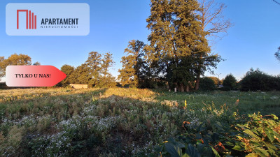 Działka w dobrym miejscu - Chodzież  -
Wielkopolskie Zdjęcie nr 5