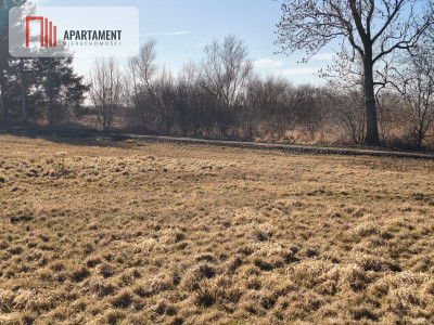 Działki z perspektywą na pełnych uroku terenach - Kładno  -
Zachodniopomorskie Zdjęcie nr 4