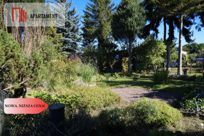 Działka ROD Myślęcinek - Bydgoszcz  -
Kujawsko-Pomorskie Zdjęcie nr 8