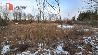 Działka z WZ i stawem - Rożnowo  -
Wielkopolskie Zdjęcie nr 10