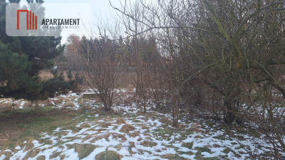 Działka z WZ i stawem - Rożnowo  -
Wielkopolskie Zdjęcie nr 3