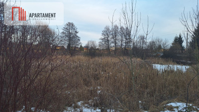 Działka z WZ i stawem - Rożnowo  -
Wielkopolskie Zdjęcie nr 4