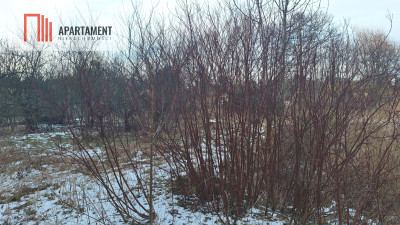 Działka z WZ i stawem - Rożnowo  -
Wielkopolskie Zdjęcie nr 8