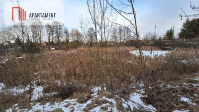Działka z WZ i stawem - Rożnowo  -
Wielkopolskie Zdjęcie nr 9