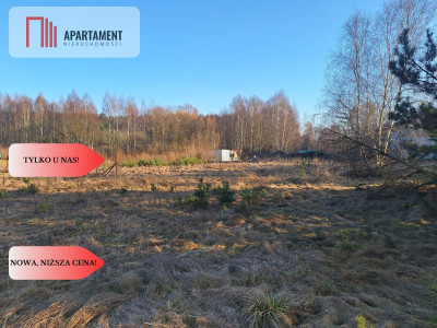 Działki 1385 m i 1926 m w leśnej otulinie z WZ - Mąkoszyn  - Kujawsko-Pomorskie