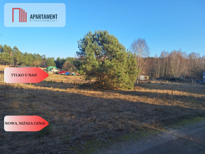 Działki 1385 m i 1926 m w leśnej otulinie z WZ - Mąkoszyn  -
Kujawsko-Pomorskie Zdjęcie nr 2