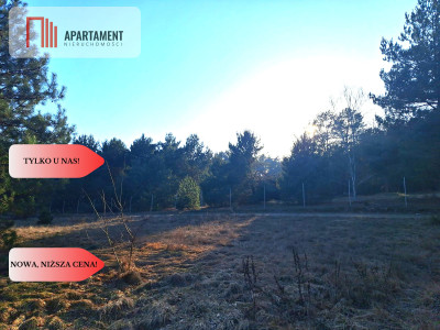 Działki 1385 m i 1926 m w leśnej otulinie z WZ - Mąkoszyn  -
Kujawsko-Pomorskie Zdjęcie nr 3