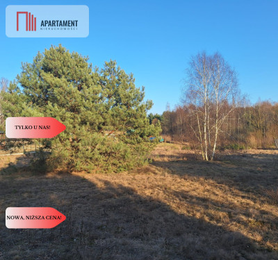 Działki 1385 m i 1926 m w leśnej otulinie z WZ - Mąkoszyn  -
Kujawsko-Pomorskie Zdjęcie nr 5