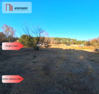 Działki 1385 m i 1926 m w leśnej otulinie z WZ - Mąkoszyn  -
Kujawsko-Pomorskie Zdjęcie nr 6