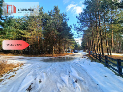 Zamieszkaj w sercu Borów Tleń Jezioro MPZP - Tleń  -
Kujawsko-Pomorskie Zdjęcie nr 2