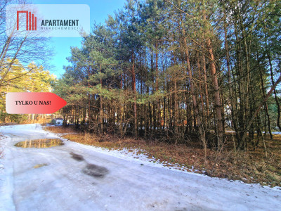 Zamieszkaj w sercu Borów Tleń Jezioro MPZP - Tleń  -
Kujawsko-Pomorskie Zdjęcie nr 4