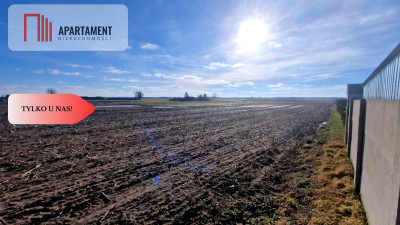 TYLKO U NAS Ostatnia tak tania działka w Sępólnie - Sępólno Krajeńskie  -
Kujawsko-Pomorskie Zdjęcie nr 4