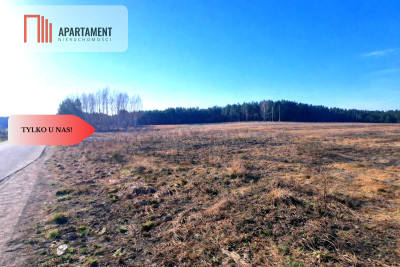 TYLKO U NAS Działka budowlana z młodymi brzózkami - Czersk  -
Pomorskie Zdjęcie nr 4