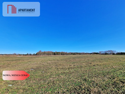 Działka w okolicy lasów i jezior - Węsiory  - Pomorskie