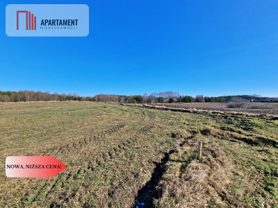 Działka w okolicy lasów i jezior - Węsiory  -
Pomorskie Zdjęcie nr 2