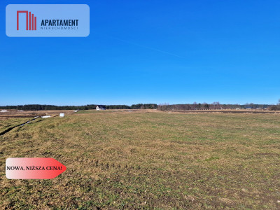 Działka w okolicy lasów i jezior - Węsiory  -
Pomorskie Zdjęcie nr 3