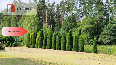 Wyjątkowa działka nad rzeką  Dębnica Kaszubska  - Dębnica Kaszubska  -
Pomorskie Zdjęcie nr 3