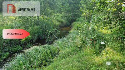 Wyjątkowa działka nad rzeką  Dębnica Kaszubska  - Dębnica Kaszubska  -
Pomorskie Zdjęcie nr 5