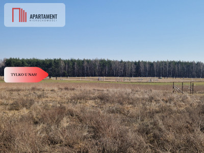 Działka budowlana niedaleko lasu i jeziora - Kalina  -
Wielkopolskie Zdjęcie nr 2