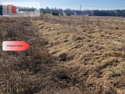 Działka budowlana niedaleko lasu i jeziora - Kalina  -
Wielkopolskie Zdjęcie nr 3