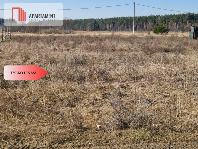 Działka budowlana niedaleko lasu i jeziora - Kalina  -
Wielkopolskie Zdjęcie nr 4