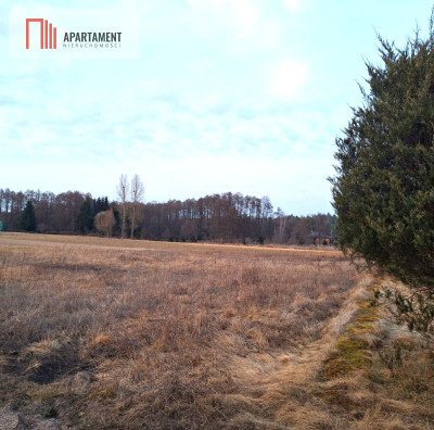 Kornelin Gotowa Działka 1500m2 z Projektem - Kornelin  -
Kujawsko-Pomorskie Zdjęcie nr 2