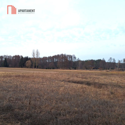 Kornelin Gotowa Działka 1500m2 z Projektem - Kornelin  -
Kujawsko-Pomorskie Zdjęcie nr 6