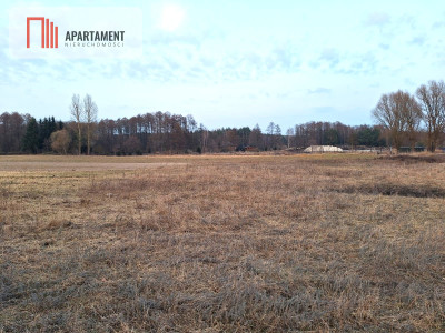 Kornelin Gotowa Działka 1500m2 z Projektem - Kornelin  -
Kujawsko-Pomorskie Zdjęcie nr 8