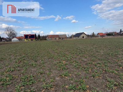 Działki budowlane w Chocianowcu MPZP - Chocianowiec  - Dolnośląskie