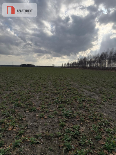 Działki budowlane w Chocianowcu MPZP - Chocianowiec  -
Dolnośląskie Zdjęcie nr 5