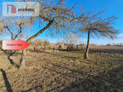 DZIAŁKA Z ZABUDOWANIAMI W CENTRUM OSIEKA NAD NOT - Osiek Nad Notecią  -
Wielkopolskie Zdjęcie nr 13