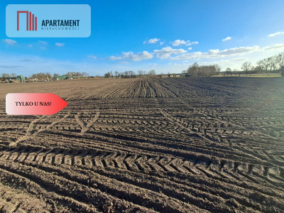 DZIAŁKA Z ZABUDOWANIAMI W CENTRUM OSIEKA NAD NOT - Osiek Nad Notecią  -
Wielkopolskie Zdjęcie nr 14