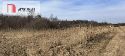 Działka 8000 m na Kaszubach - Niedamowo - Niedamowo  -
Pomorskie Zdjęcie nr 10