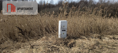 Działka 8000 m na Kaszubach - Niedamowo - Niedamowo  -
Pomorskie Zdjęcie nr 11