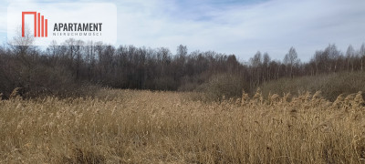 Działka 8000 m na Kaszubach - Niedamowo - Niedamowo  -
Pomorskie Zdjęcie nr 12