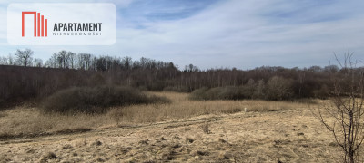 Działka 8000 m na Kaszubach - Niedamowo - Niedamowo  -
Pomorskie Zdjęcie nr 13