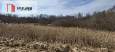 Działka 8000 m na Kaszubach - Niedamowo - Niedamowo  -
Pomorskie Zdjęcie nr 9