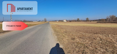 Tania działka z WZ - Sadłogoszcz - Sadłogoszcz  -
Kujawsko-Pomorskie Zdjęcie nr 3