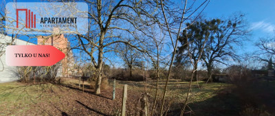 Działka w centrum Kcyni  2258 m  media  WZ - Kcynia  -
Kujawsko-Pomorskie Zdjęcie nr 8