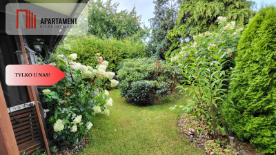 Piękna działka rekreacyjna z KW - domek ogród - Trzeciewnica  -
Kujawsko-Pomorskie Zdjęcie nr 10